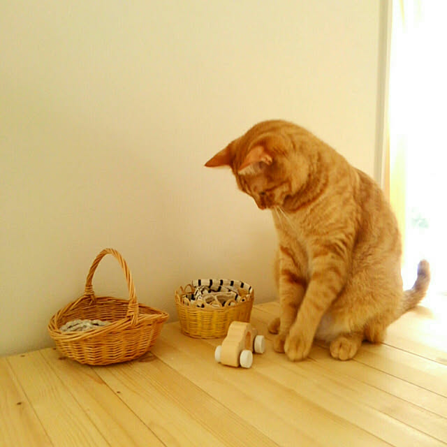 mayutan.さんの実例写真