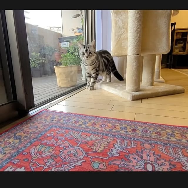 lovepeaceさんの実例写真