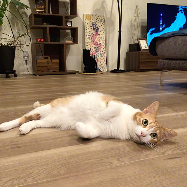 houenさんの実例写真
