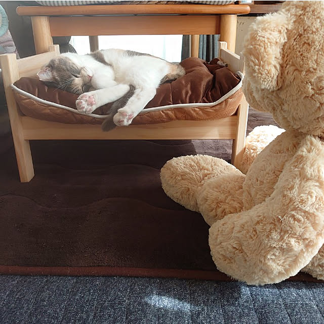 fukuさんの実例写真
