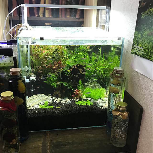 kouta_Co.さんの実例写真