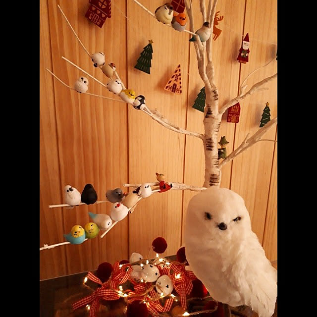 kazuraさんの実例写真