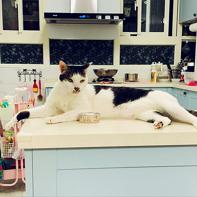 pcu110さんの実例写真