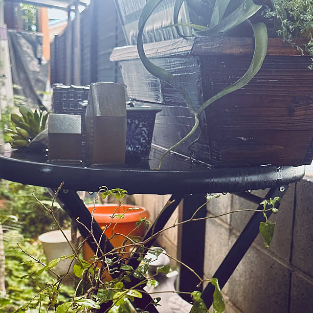chacoさんの部屋