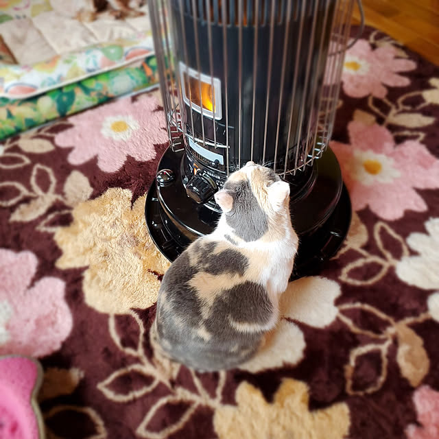 kumutanさんの実例写真