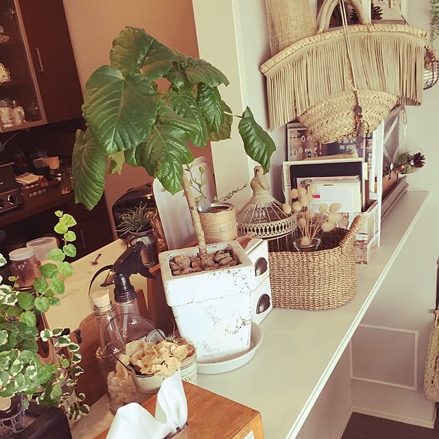 棚/雑貨/観葉植物/カフェ風/ハンドメイド...などのインテリア実例 - 2016-02-09 14:32:50