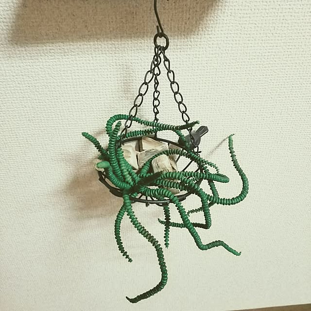0c.c0さんの実例写真