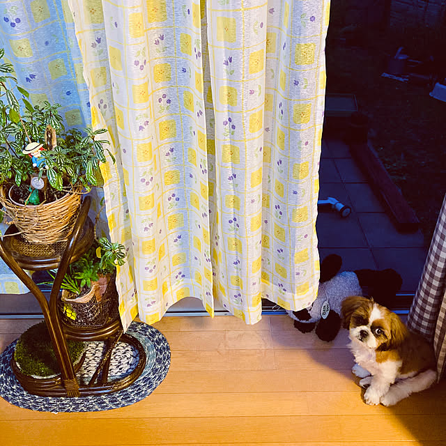 bimoさんの実例写真