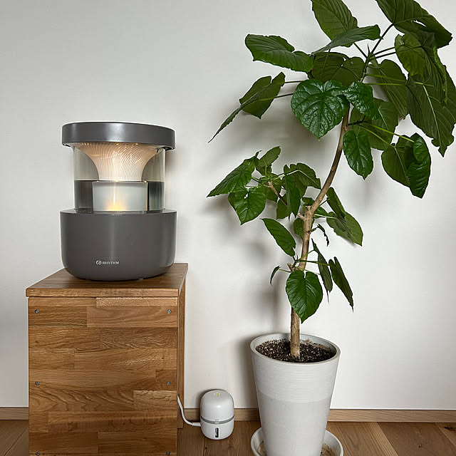 charo_homeさんの実例写真