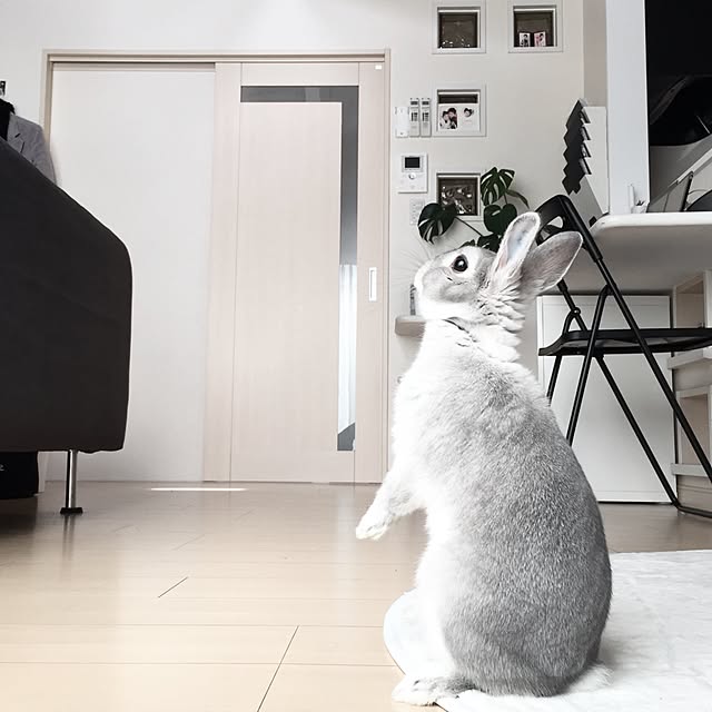 kuruさんの実例写真