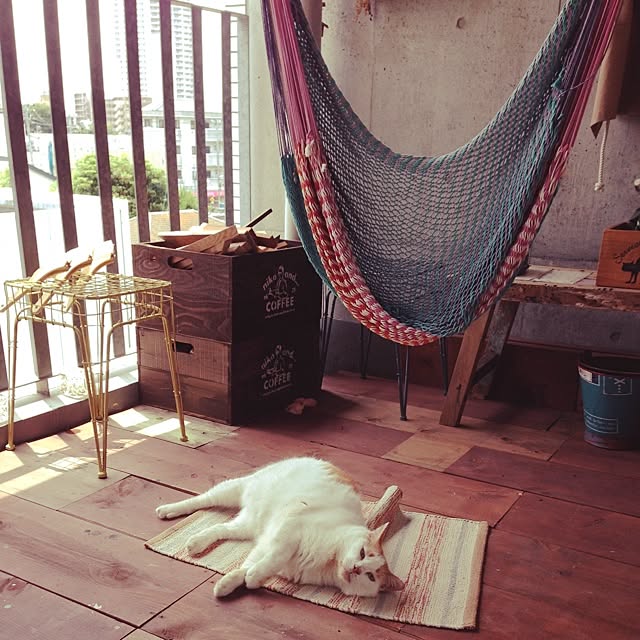 infobar12さんの実例写真