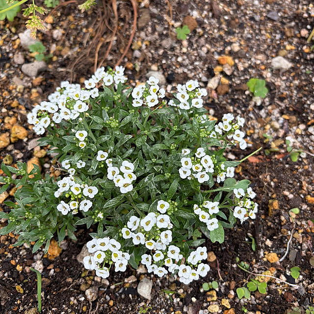 ritsukoさんの部屋