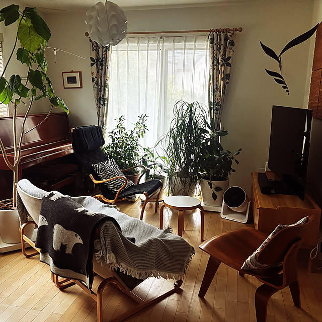 ymizさんの実例写真