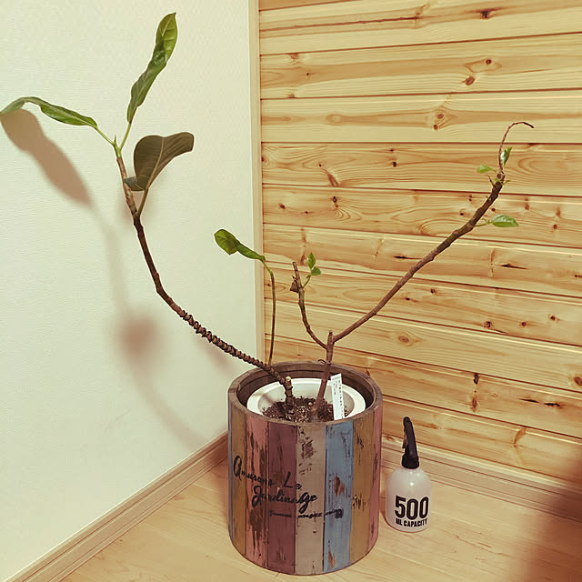 ナチュラル/観葉植物/リビングのインテリア実例 - 2020-02-16 00:36:29
