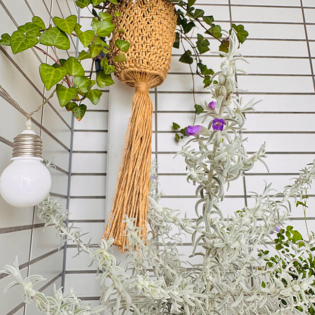 hamahamaさんの部屋