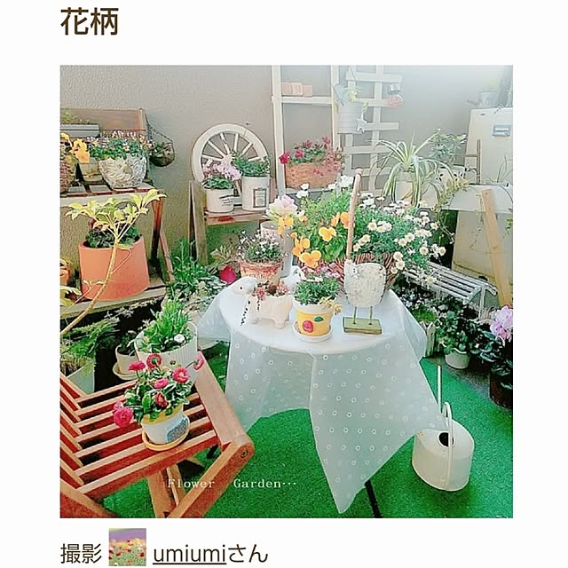 umiumiさんの実例写真