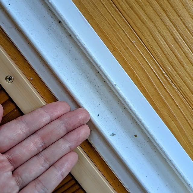 sara33さんの部屋