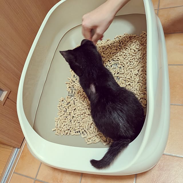 MyuRuuさんの部屋