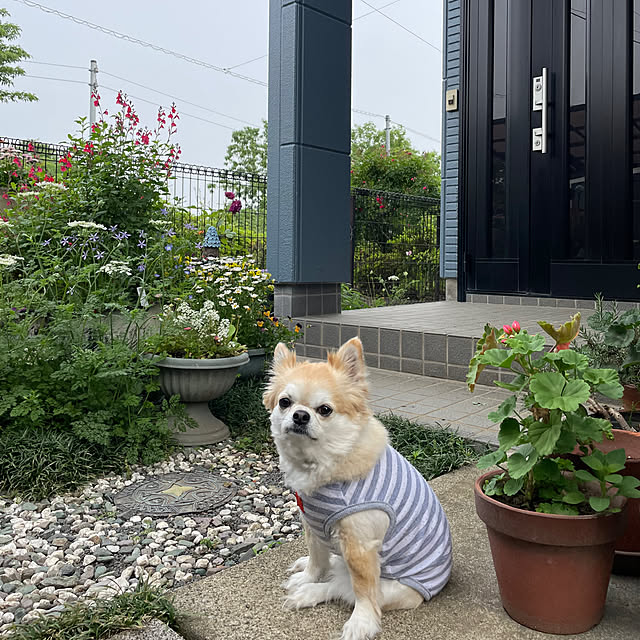 natsumiさんの部屋