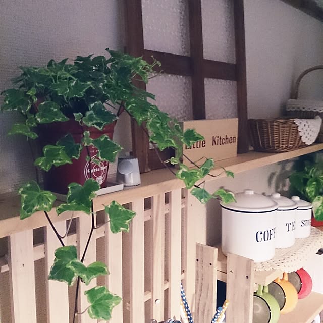 miporin0711さんの実例写真
