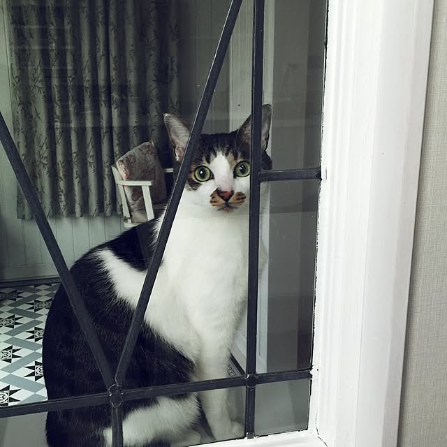 yuchiさんの実例写真