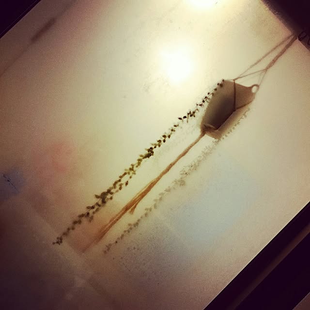 nonsuuさんの実例写真