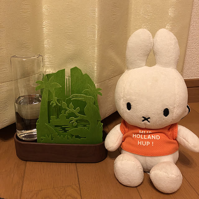 nijntjeさんの実例写真