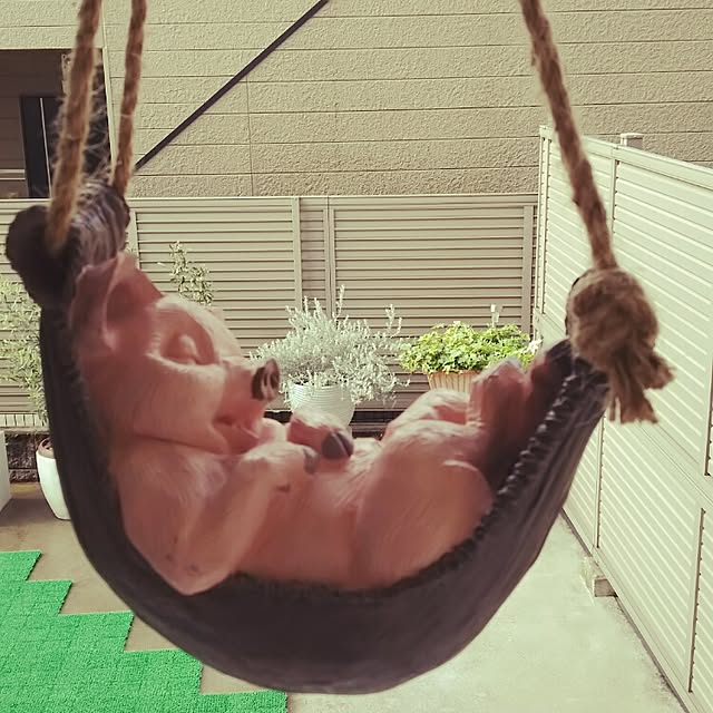 panchobiさんの実例写真