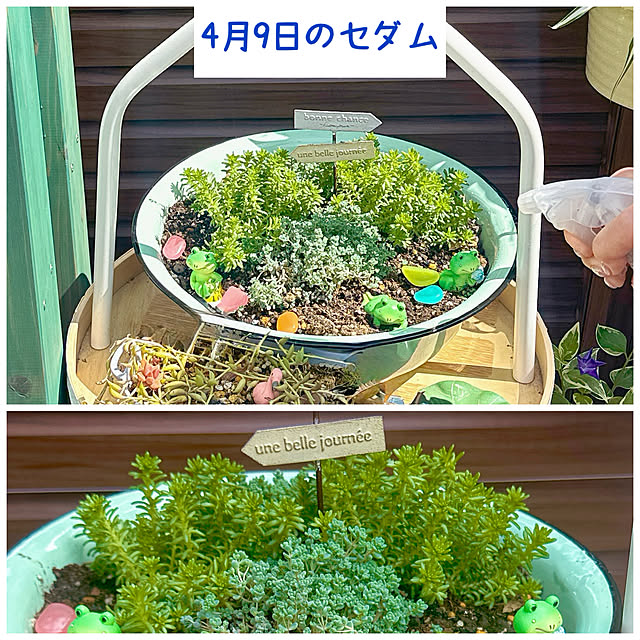 miyuさんの部屋