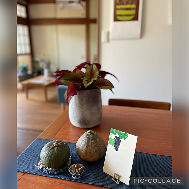 buchiさんの部屋