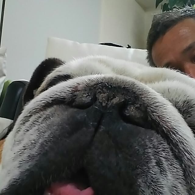 AandPさんの実例写真