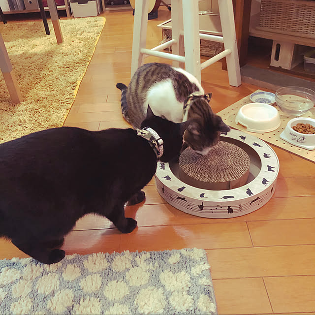 jijiさんの実例写真