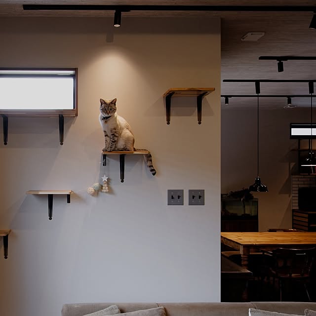 Atelier_tamakiさんの部屋