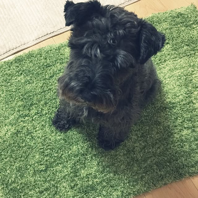 amiさんの実例写真