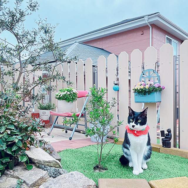 moolさんの部屋