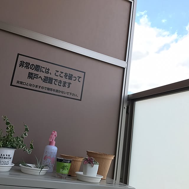 popoloさんの実例写真