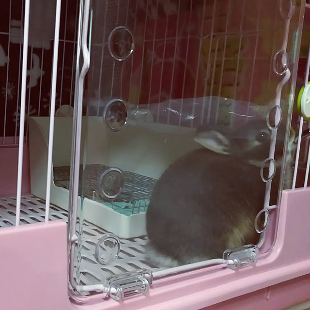 ykbnさんの実例写真