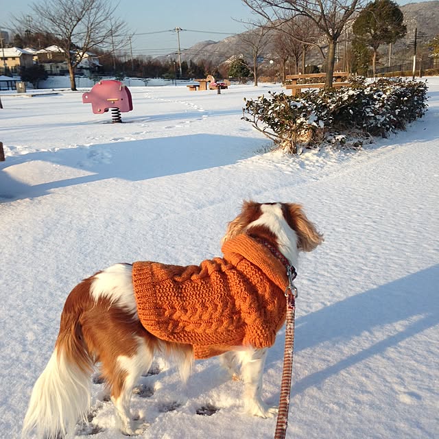 mamahiroさんの実例写真