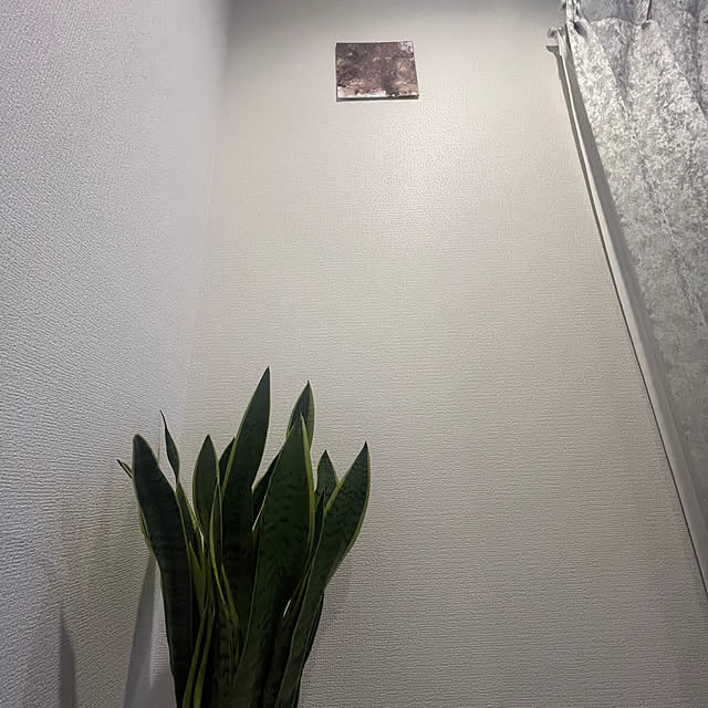 SHIOmamaさんの実例写真