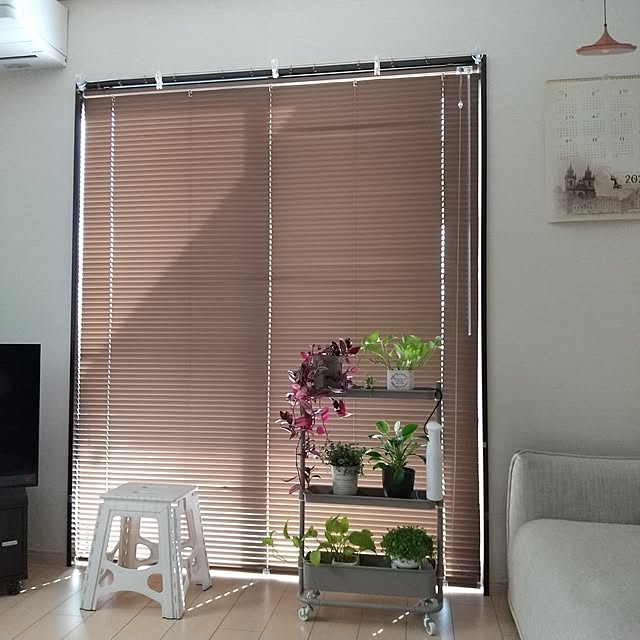 meiさんの実例写真