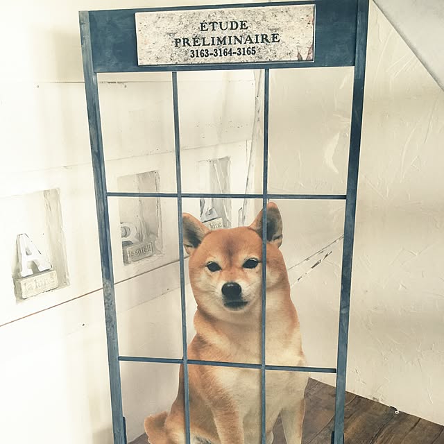 jankenkenさんの実例写真