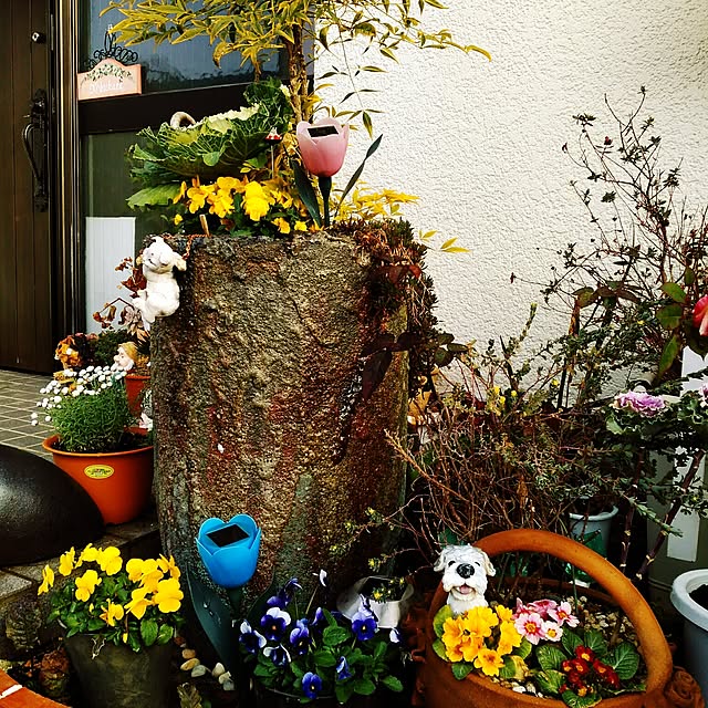shoko0420さんの実例写真