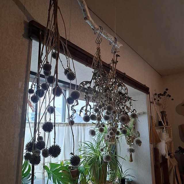 midoriさんの部屋