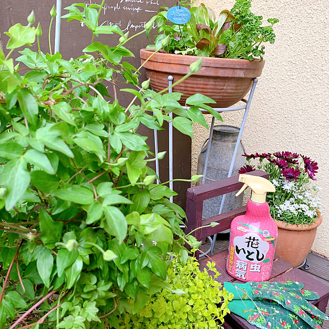 chisaさんの部屋