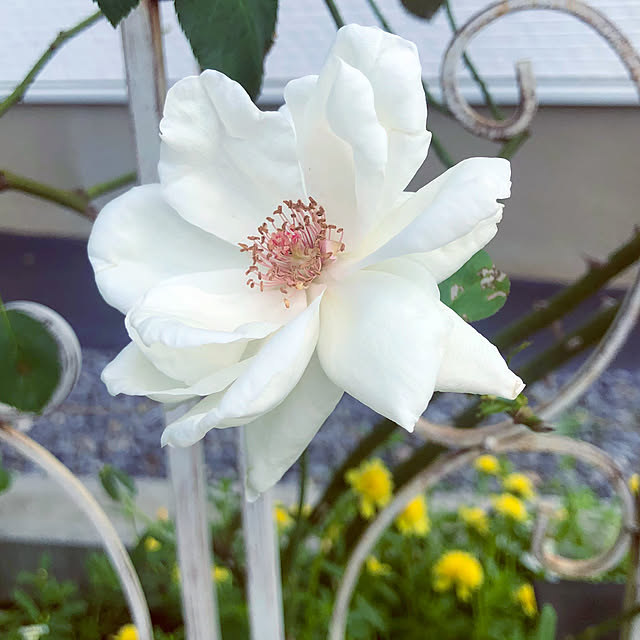 tomoさんの部屋
