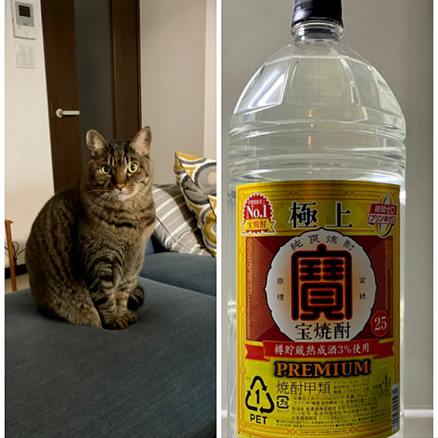 lynnさんの実例写真