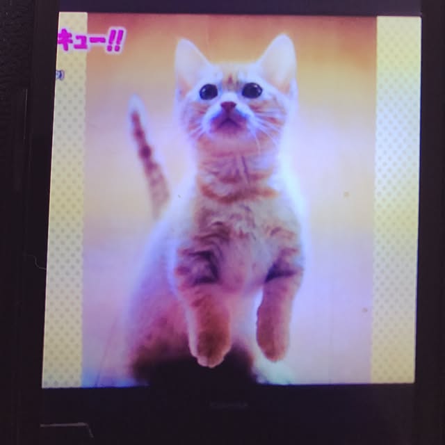 ayakona114さんの実例写真