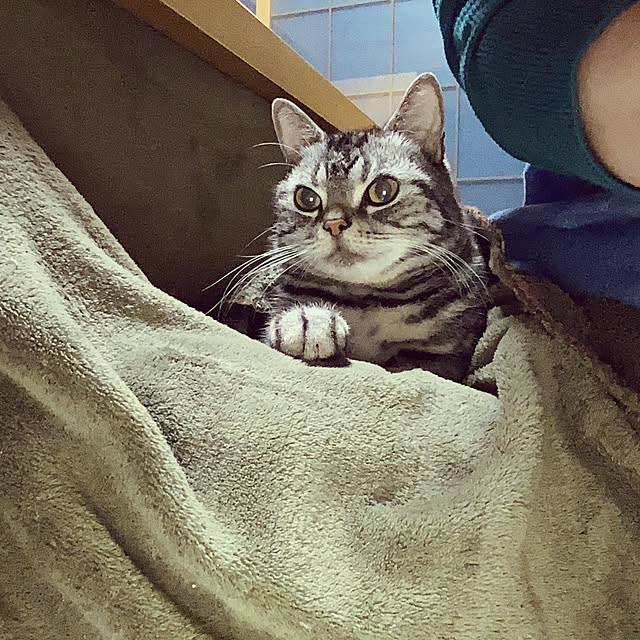 richanさんの実例写真