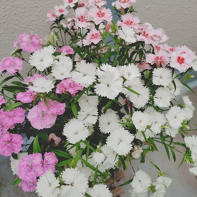 yukaさんの部屋