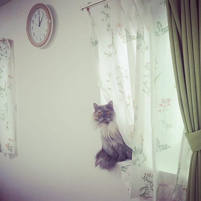hiroshiさんの実例写真
